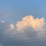 KT
