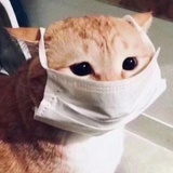 北寺塔的尖尖角
