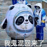 冰墩墩抗韩中