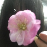 やまざきけんと