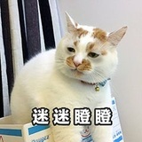 已注销