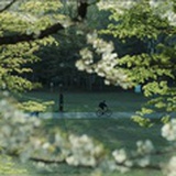 din小涵