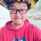 橙黄绿