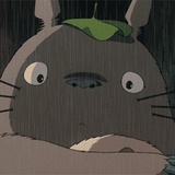 十次眉眼调