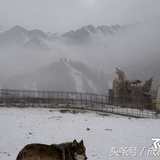 述