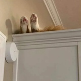 mmn