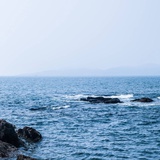 锈逗小米