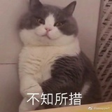 Venus_Wu