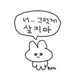 🐰