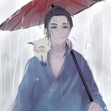 方雨辰V