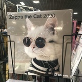 C’estcooldodo