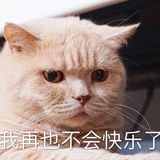 大猪蹄子