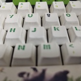 木有鱼丸