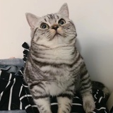 亿佰万