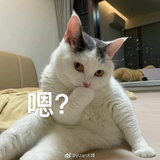 在在在天上
