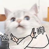 Scrupulous-ayu