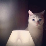 木子