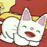 你是不是油猫饼