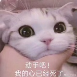 风再起时