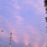 最后只能来豆瓣