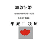 小马甲再也不穿