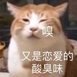 困了的猫