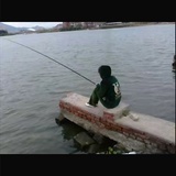 碎月光