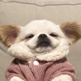 早点睡吧