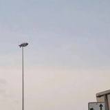 盛夏如花