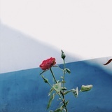 Bxrnfxw27