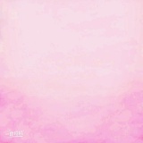 跳房子的花猫