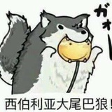 熬夜熬成中二病