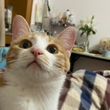 立一默