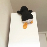 日日欢喜