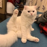 走走