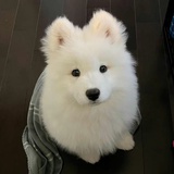 你可少花点吧
