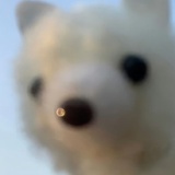 ツリー
