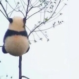 悠哉悠哉