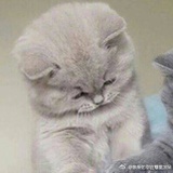 周小七