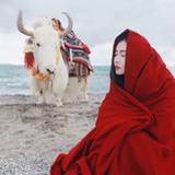 Nangpa_apple