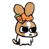 明日复明日
