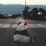 一晌贪欢