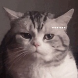 苦涩冰美式