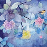 葡萄豆