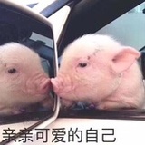 豆友157784946