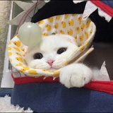已注销