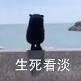 小小的咩咩