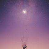 晓舍