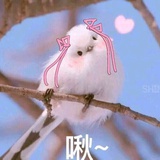 独幽
