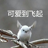 戒氪.